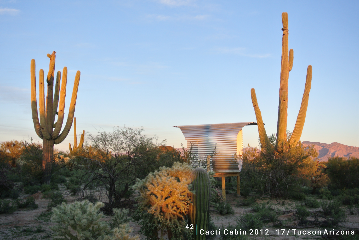 Cacti Cabin 2012–17